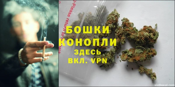 spice Аркадак