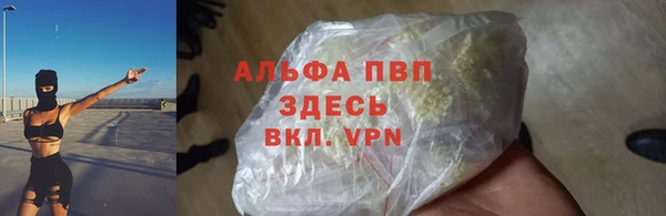 spice Аркадак