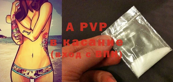 spice Аркадак
