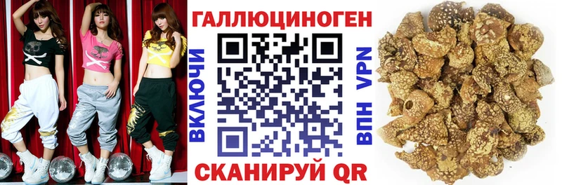 Галлюциногенные грибы GOLDEN TEACHER  Купить  Алатырь 