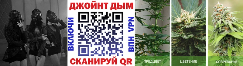 Купить закладки  Алатырь  Конопля марихуана 